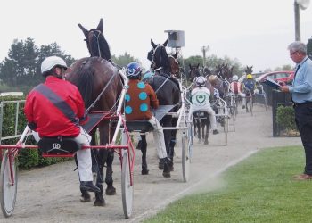 Gray takes form runners to Ascot Park