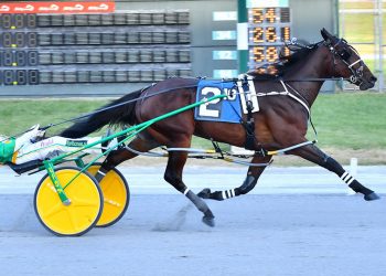 Beat Cop lays down the law