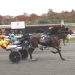 Dead heat for win in Plainridge feature 2 Dead heat for win in Plainridge feature