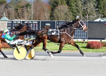 Big Box Hanover claims victory at Saratoga