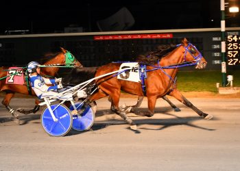 21-year-old drives winner in Open Trot