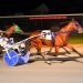21-year-old drives winner in Open Trot