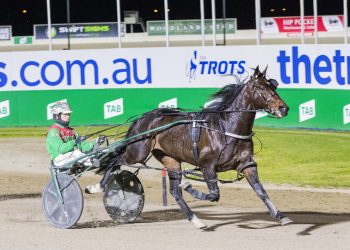 Captain Ravishing surprise entrant in Yarra Valley Pacing Cup