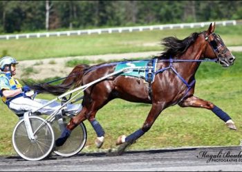 Two-time champion set to retire on Sunday