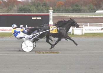 Sweet score for Plainridge winner