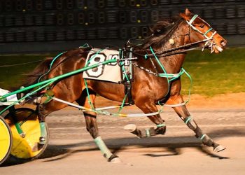 Filly completes DSBF sweep in $110,000 final