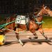 Filly completes DSBF sweep in $110,000 final 1 Filly completes DSBF sweep in $110,000 final