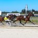Deny Everything upsets in Timaru Cup