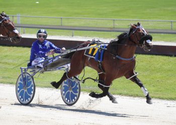 Purdon ponders draws for Cup Day