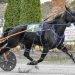 Pacer scores seventh straight at Bangor Raceway
