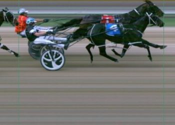 Judge can’t separate Jake and Josh