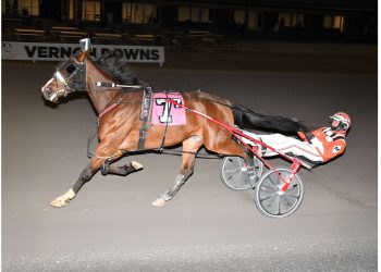 MacDonald takes both Vernon Opens