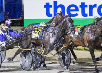 Sew What might be a rockstar for Giles