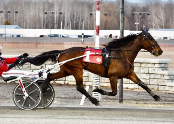 Make it a double for Fix A Drink