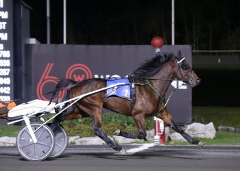 Flanagan Memory colt repeats in Harvest Series