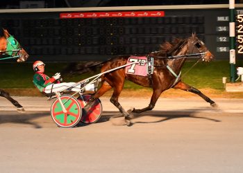 I Get It grabs Dover feature