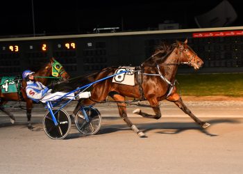 Mare notches fourth straight in Open