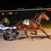Incaseyoudidntknow, McCarthy looking for another strong Matchmaker 2 Mare notches fourth straight in Open