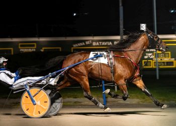 Johnny Boy upsets in Batavia feature