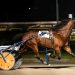 Johnny Boy upsets in Batavia feature 2 Johnny Boy upsets in Batavia feature