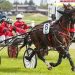 Double for Negus at Methven