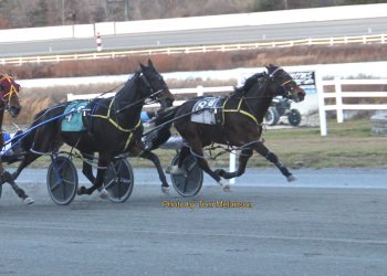 La Bella Vita N wins Plainridge feature in photo finish