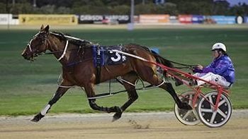 Double for Young at Alexandra Park