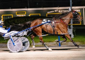 Louie The Lilac back to winning form