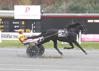 Ranger rules at Plainridge