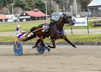 Hall takes both Cumberland features