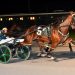 Can Maxim Hanover continue winning ways in Governor’s Cup?