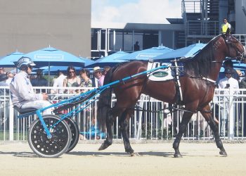 Merlin and Cold Chisel major players on Cup Day