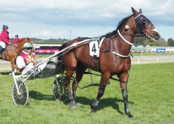 Miki Knows still learning