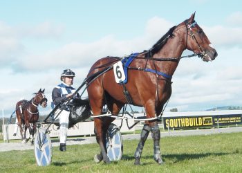 Connor returns to centre court