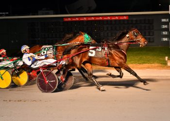 On Higher Ground remains on cruise control in Open