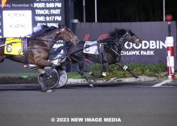 P L Rainbow Dash sweeps Harvest Series