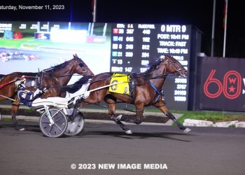 Poseidon Seelster thunders to victory in Preferred