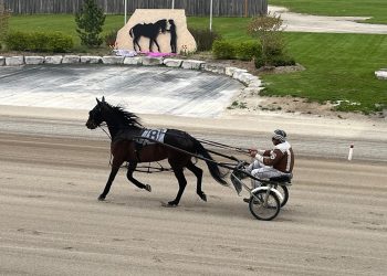 Third straight for three-year-old