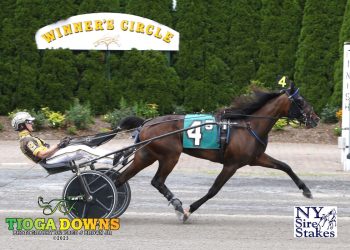 R Melina doing wonders for Paul