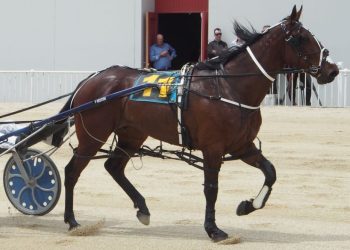 Williamson holds key to South of the Waitaki