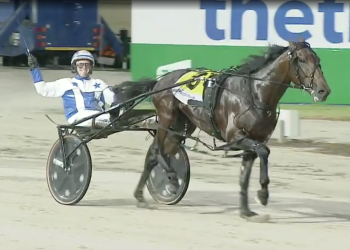 Stewart sweeps G1 pacing ‘Crowns’ at Melton