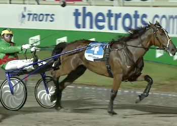 Volstead progeny dominate $100,000 Breeders Crown 2YO Finals