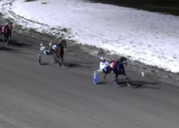 High Roller equals P.E.I. record