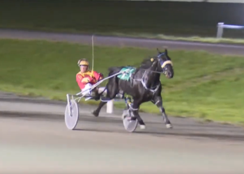 Sunshine Boy rises to another score