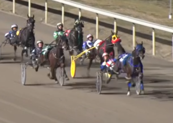 Samba Beat shatters his own record