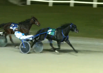 Another in the bag for Oh Coffee Bean