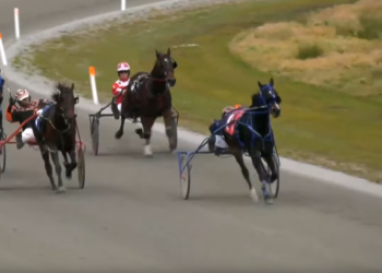 Q Ts Charlie takes last Northside feature