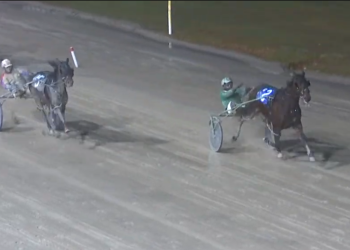 Oh Gouda defeats Prospect Series champ