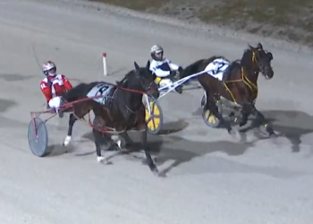 Colt breaks maiden at 49-1