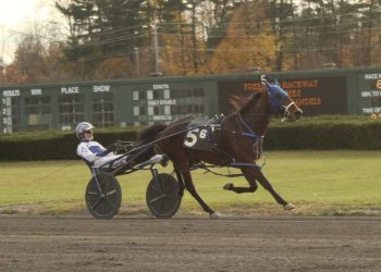 Siegelman triples at Freehold